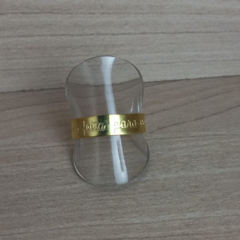 ANEL REGULAVEL VOCE FOI FEITA PARA VOAR