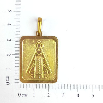 PIN PLACA NSS SRA APARECIDA CAG