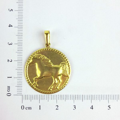 PIN REDONDO CAVALO CAM