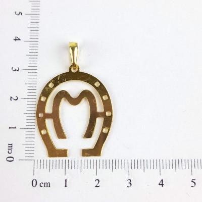 PIN FERRADURA MANGA LARGA CAM