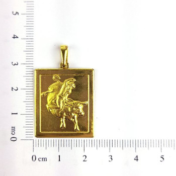 PIN TOURO E PEÃO CAG