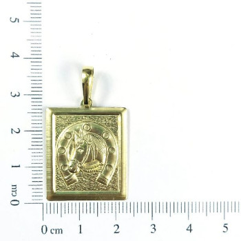 PIN FERRADURA PLACA CAG