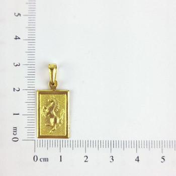 PIN RETANGULO CAVALO CAM