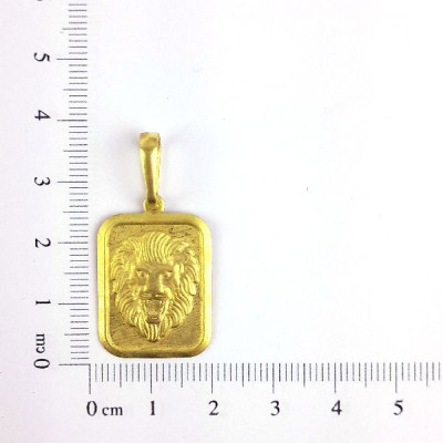 PIN PLACA LEÃO DE JUDA CAM