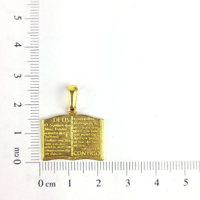 PIN BIBLIA SALMO ESTAMPADO MACIÇO CAM