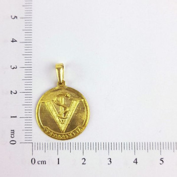 PIN VETERINÁRIA CAM