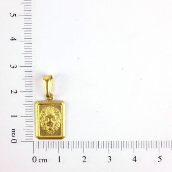 PIN LEAO JUDA 1X1,5 CAM