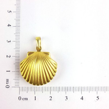 PIN RELICARIO CONCHA CAM